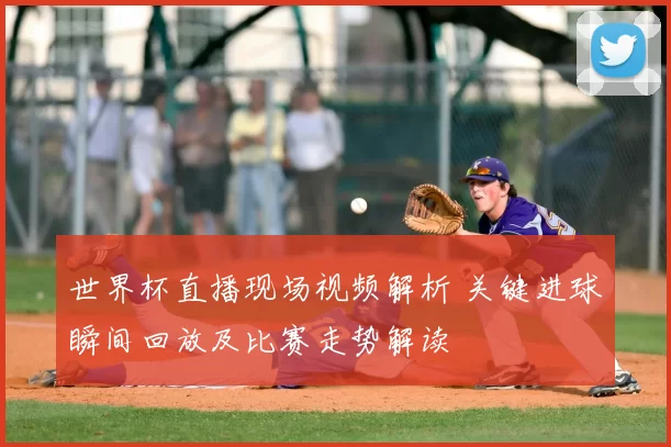 世界杯直播现场视频解析 关键进球瞬间回放及比赛走势解读
