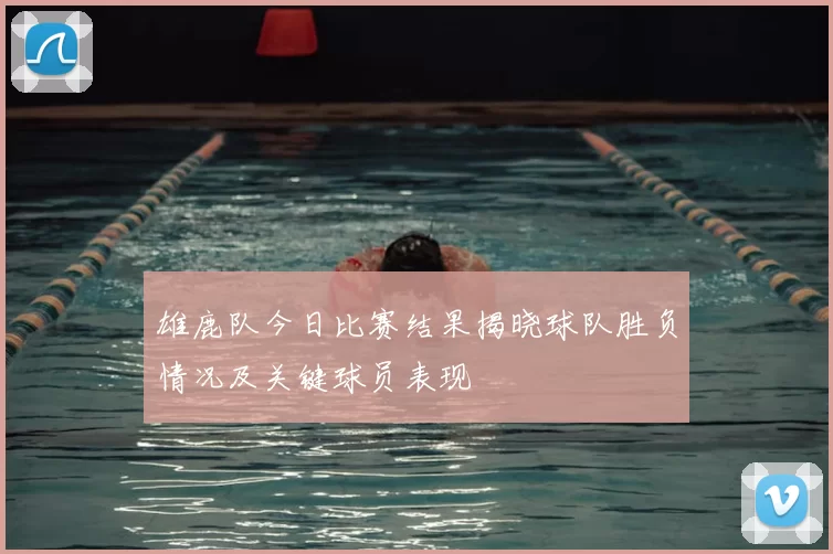 雄鹿队今日比赛结果揭晓球队胜负情况及关键球员表现