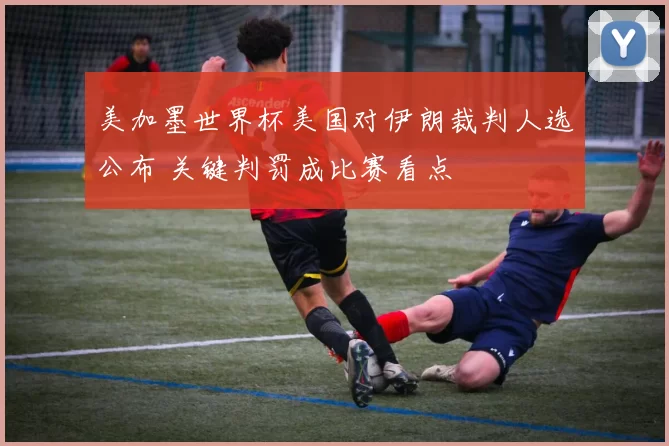 美加墨世界杯美国对伊朗裁判人选公布 关键判罚成比赛看点