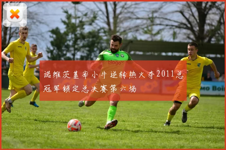 诺维茨基率小牛逆转热火夺2011总冠军锁定总决赛第六场
