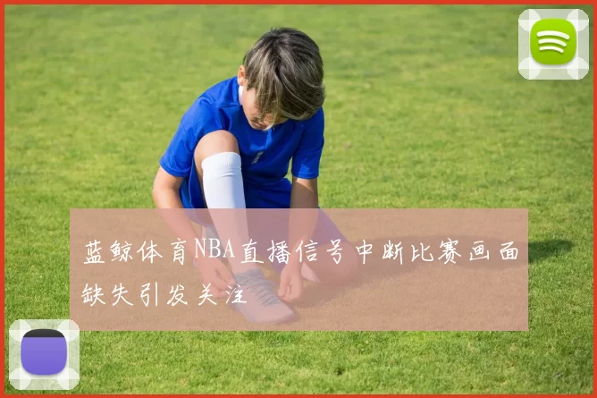 蓝鲸体育NBA直播信号中断比赛画面缺失引发关注