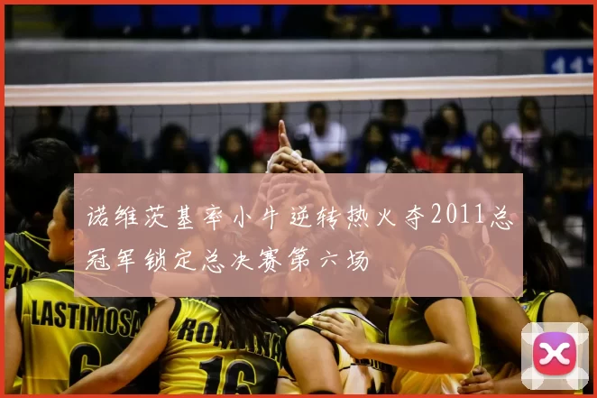 诺维茨基率小牛逆转热火夺2011总冠军锁定总决赛第六场