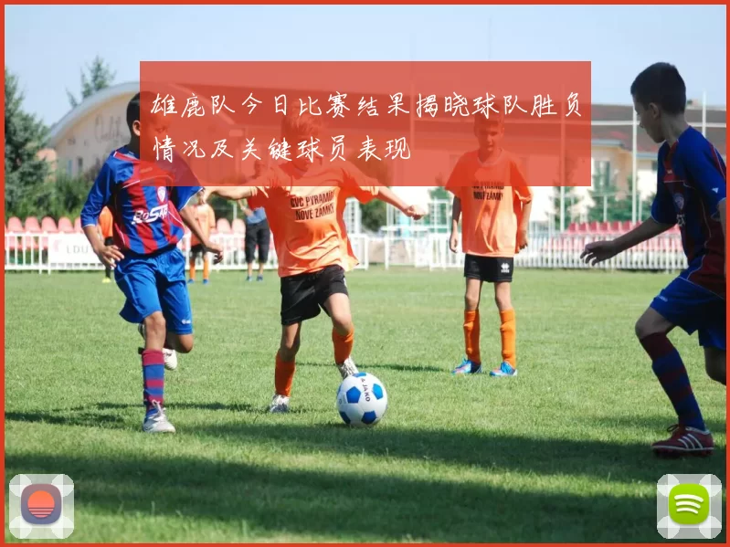 雄鹿队今日比赛结果揭晓球队胜负情况及关键球员表现