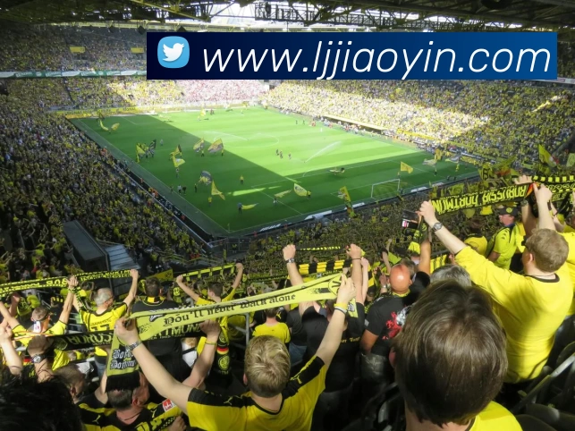 beat365 - beat·365(中国)官方网站发展历程